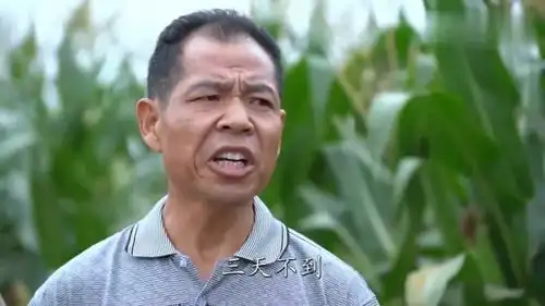 爆笑二货回乡创业怂恿幺叔开鱼疗馆,谁料被猪队友坑惨闹出大笑话
