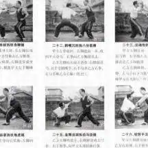 虎鹤双形拳
