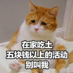 超搞笑全新萌宠带字头像无敌可爱天冷有什么事到我被窝里说
