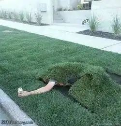搞笑图片骚年用这几张腿照骗倒了很多男孩子
