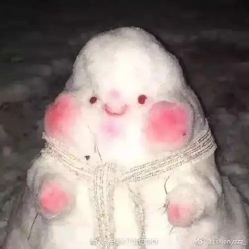 南方人说下雪真好玩北方人你们更好玩哈哈哈哈哈...
