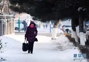 要出行的嘉兴人注意了北方强降雪发往这些地方的车次有变化
