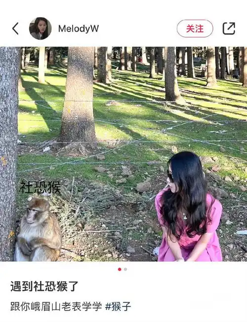 搞笑图片猴子你别靠那么近,我社恐

