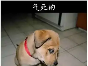 干好销售,最重要的就是坚持坚持
