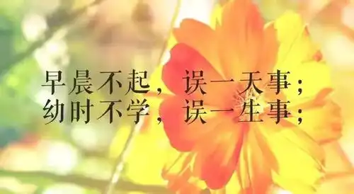 202408月25日星期日农历甲辰年七月廿二幸福满满好运连连
