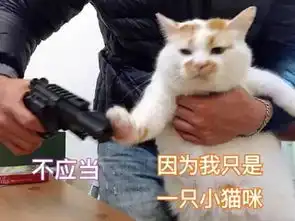 失眠到天亮的时候,我们都在想些什么
