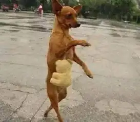 搞笑图片妹子的坐姿很销魂,大哥的反应很激烈
