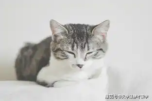 每日一笑小明同学再次回归,气得老师吐血,爆笑连连看
