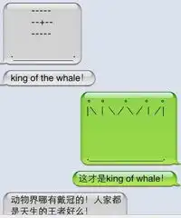 学生最爱鲸鱼体让你hold不住
