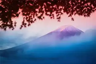 日本最正确的打开方式泡着温泉看樱花
