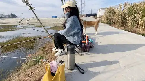 浙江一男子夜晚钓鱼一个月,妻子在家被鱼钓,在家一天搞八次夜钓张威王悦钓友钓竿钓鱼手机网易网
