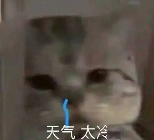 今年冬天嗷嗷冷气象专家的权威答案来了

