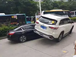女歌手钻进透明球表演却被风吹走歌迷见她越漂越远纷纷拍照留念
