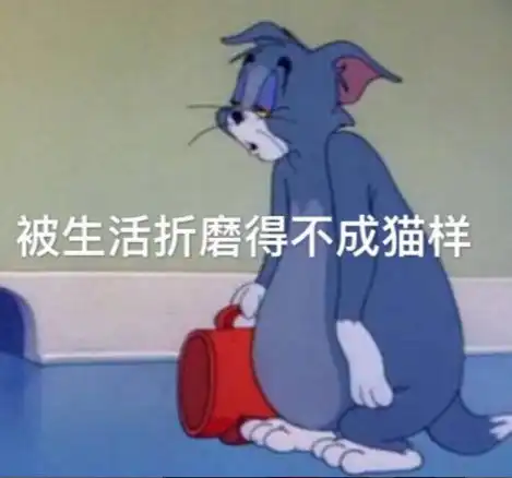 秋招即将来临应届生如何应对0工作经验问题
