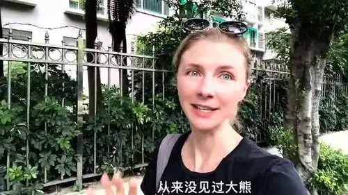 俄罗斯人真的不怕熊吗被熊抢食物时会有什么反应结果太搞笑了
