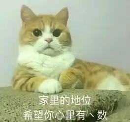 可爱小动物表情包,泡妞专用
