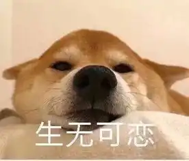 狗年摸狗头,万事不用愁搜狐搞笑搜狐网
