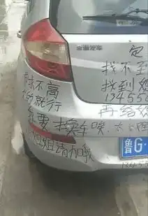 潍坊鲁gjp831被拍下,火了车尾发布征婚启事把网友笑翻....车主现身
