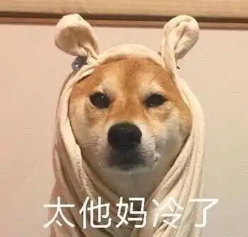 适合天气冷的时候发的搞笑表情包
