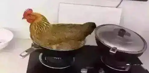 送你几张幽默图片,真的笑死人啦
