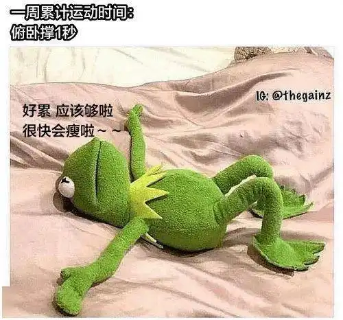 夏天来了,又开始了自我欺骗式的减肥日常
