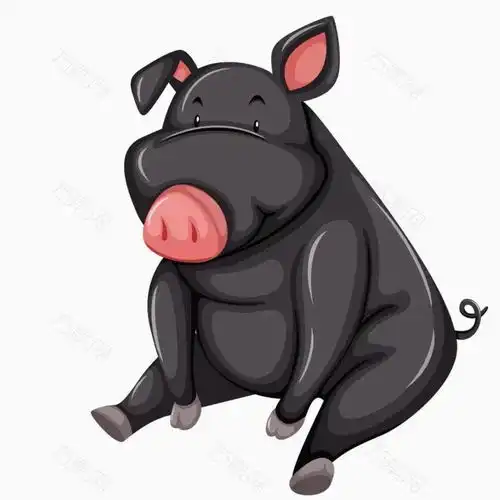 留住小黑
