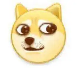 好玩是你是你真的是你
