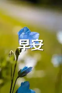 早安语录分享早安心语图片分享
