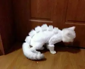 主淫,我和你有什么仇有什么怨
