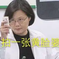 蔡英文表情包高清微信头像图片大全
