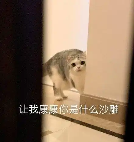 萌宠表情包你说的对呢
