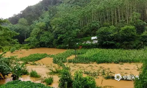 广西百色受强降雨影响广西高清图片
