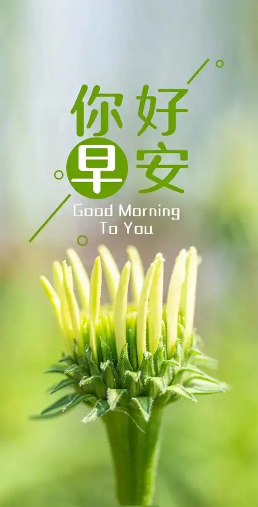 周六早安正能量说说图片,早上好奋斗语句,超越自我
