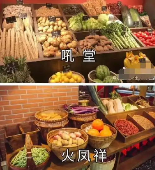 郑恺微博被攻陷,网友纷纷怒斥其吃相太难看
