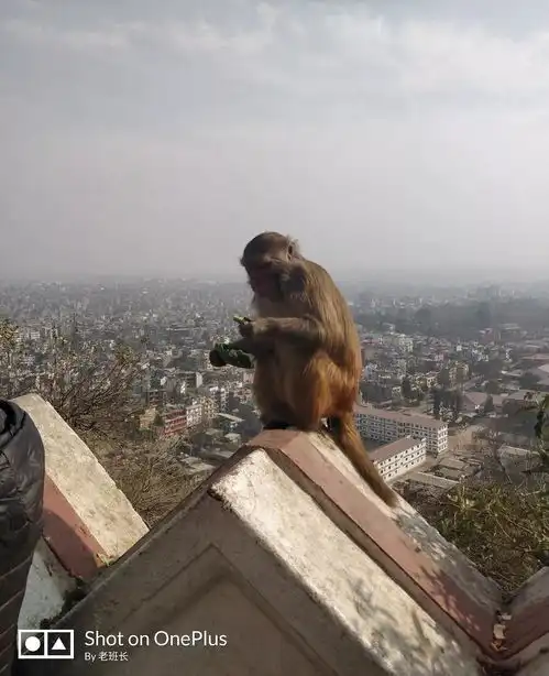 义工旅行都是骗子我猜说这话的人可能连什么是义工旅行都没搞清楚
