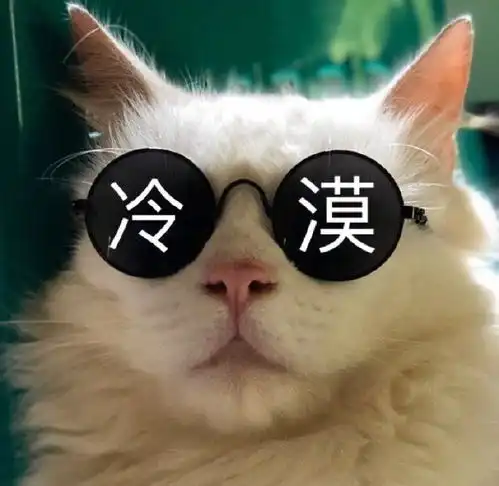 搞笑表情包图片没聋,没瞎,有手,有空,只是不想理你
