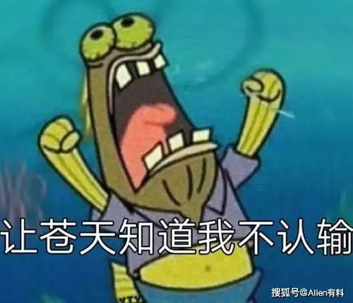 我没骂你,我骂介绍人呢
