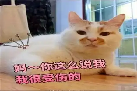 幽默笑话我姨非让我趁着过年去相亲,结果到了相亲的地方一看,是我高中同桌
