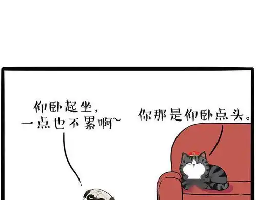 搞笑漫画狗狗减肥记
