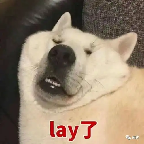 北方什么都大,今天说说北方大李子
