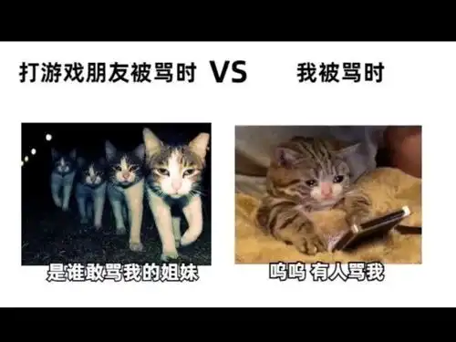 搞笑趣图当女朋友说今晚他爸妈不在家时,男生应该这样说
