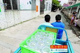 广州蚊子工厂每周生产50万绝育雄蚊
