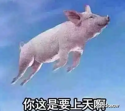 搞笑图片姑娘,早就告诉你上厕所不要玩手机,你为什么就不听呢
