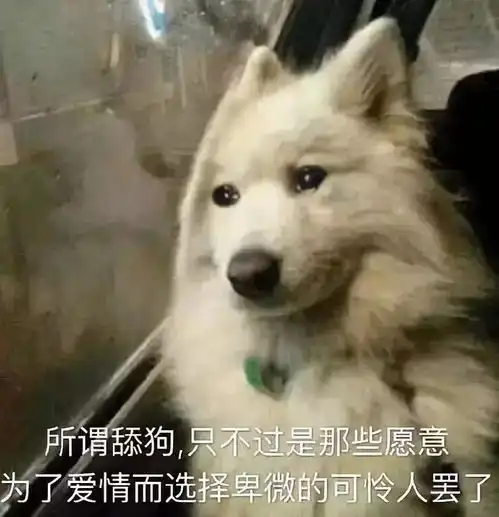 你舔的那个人,正在做别人的舔狗
