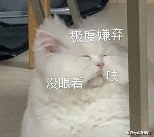 搞笑表情包图片没眼看
