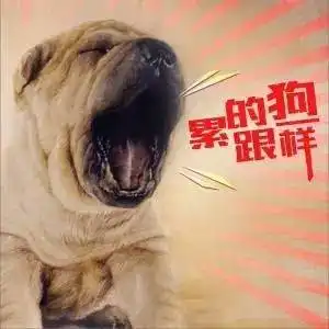 清远人现在都流行这样睡觉了哈哈
