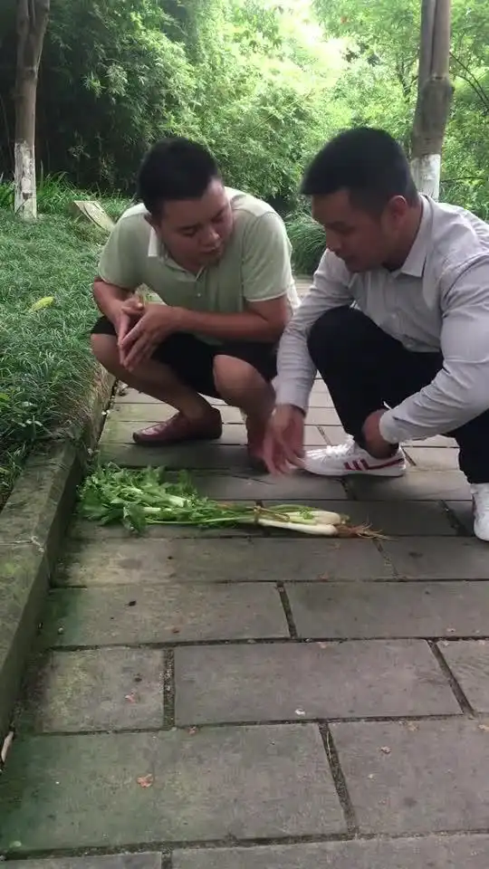 两逗比小伙子路遇芹菜,接下来的讨论太搞笑了
