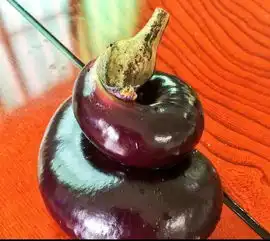 搞笑gif茄子,你到底经历了什么,才能长成这样

