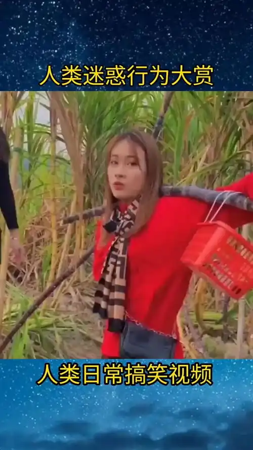 美女搞笑征婚
