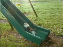 搞笑动态图gif谁能帮帮这个可怜的猫猫,会不会累坏了
